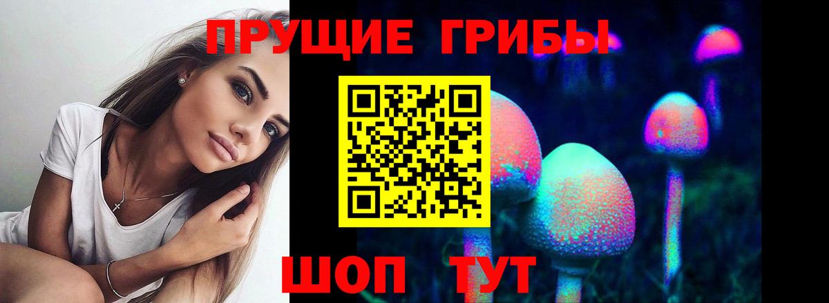 Псилоцибиновые грибы Psilocybe Городец